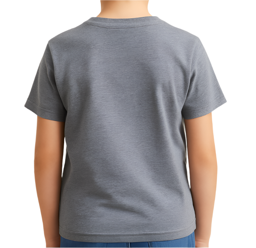 Boys Printed t/s Gray